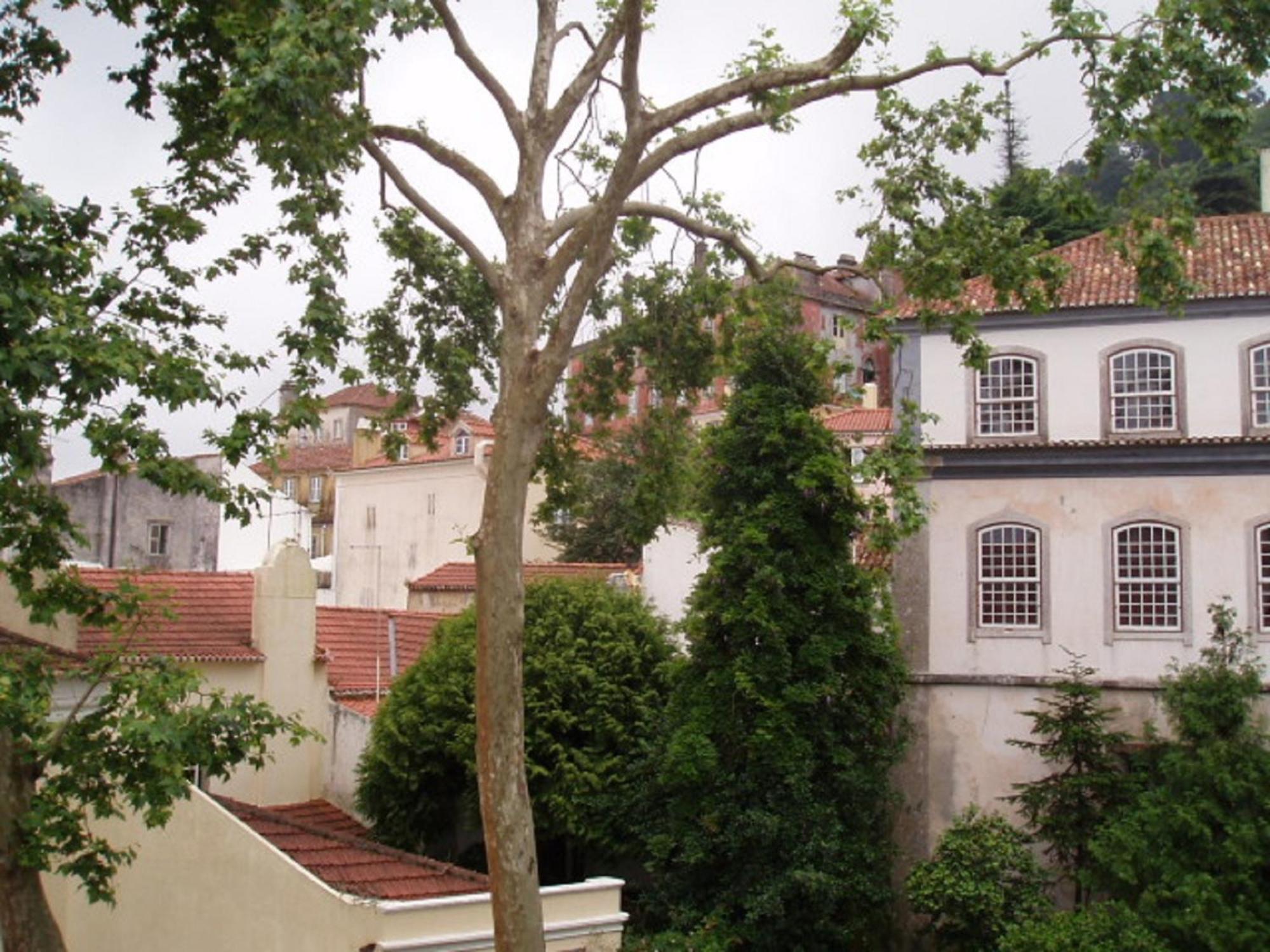 Espaco Edla Sintra Exterior foto
